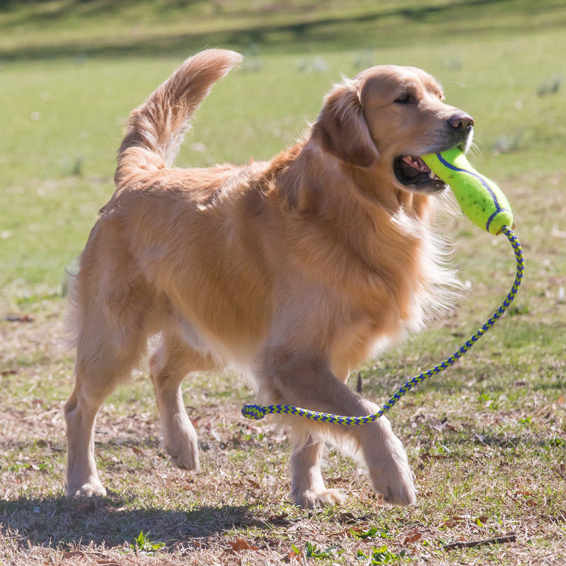 AIRDOG FETCH STICK W/ ROPE L - PetYard