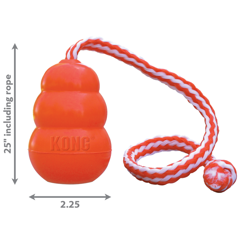 KONG AQUA (M/L)