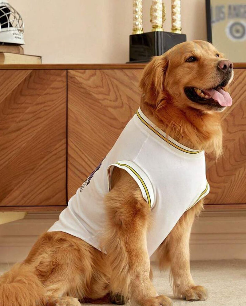 Basketball Dog Top