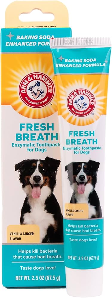 Arm & Hammer Dental Enzymatic Toothpaste for Dogs | Soothes Inflamed Gums with Vanilla Ginger