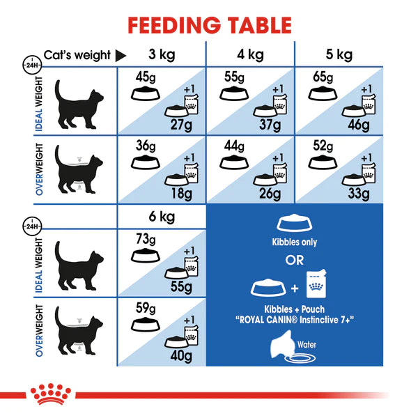 Royal Canin Indoor 7+ (1.5KG) - Dry food for indoor cats over 7 years old - PetYard