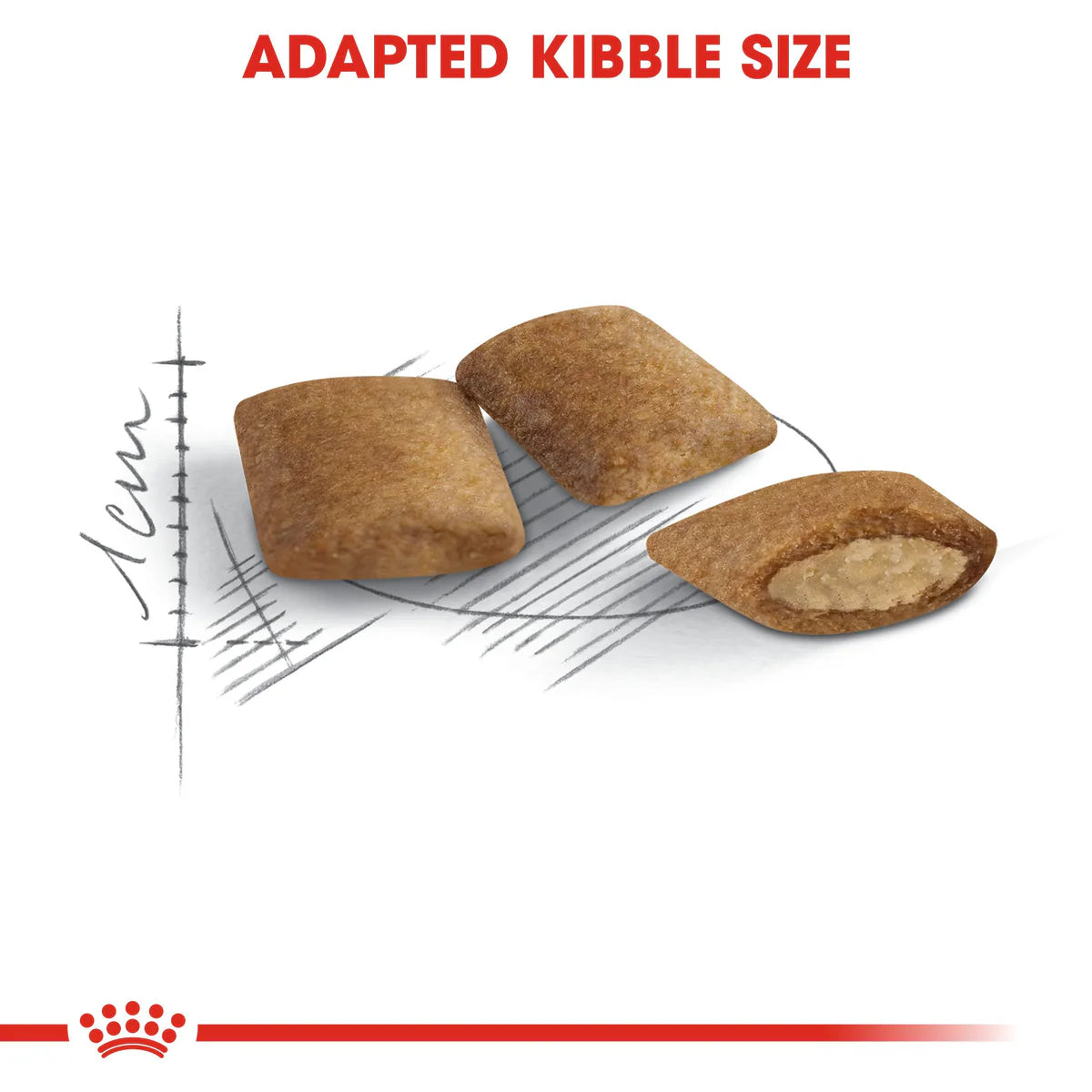 Royal Canin Ageing +12 (2KG) for Senior cats over 12 years old