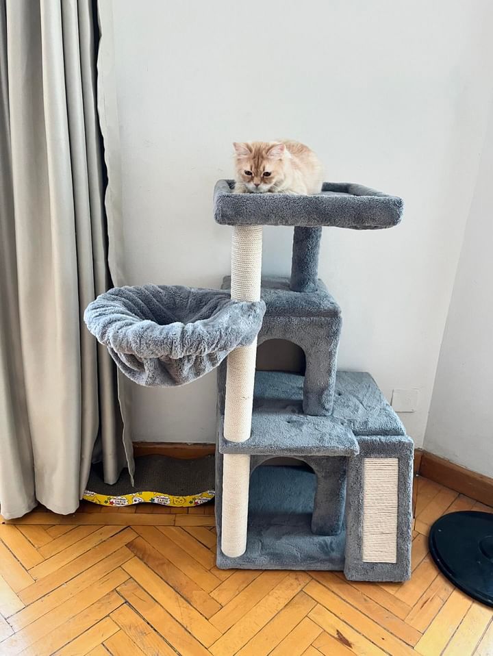 Cat House Scratcher 10026