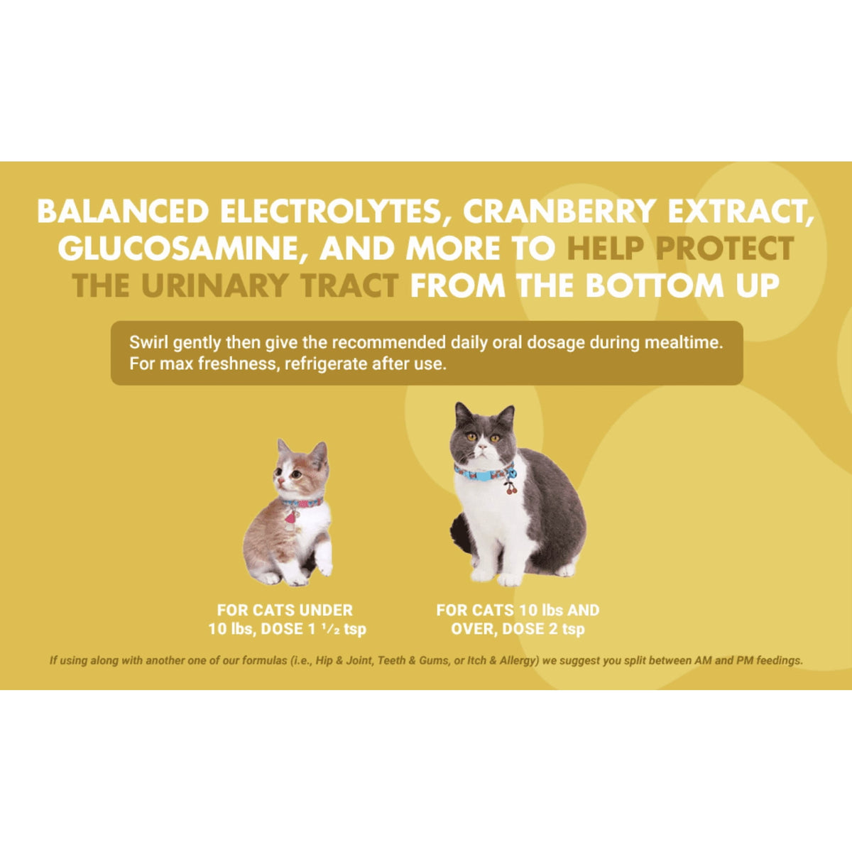 Liquid-Vet Kidney & Bladder Wellness Max Cranberry Cat Supplement (Seafood Gravy Flavor)