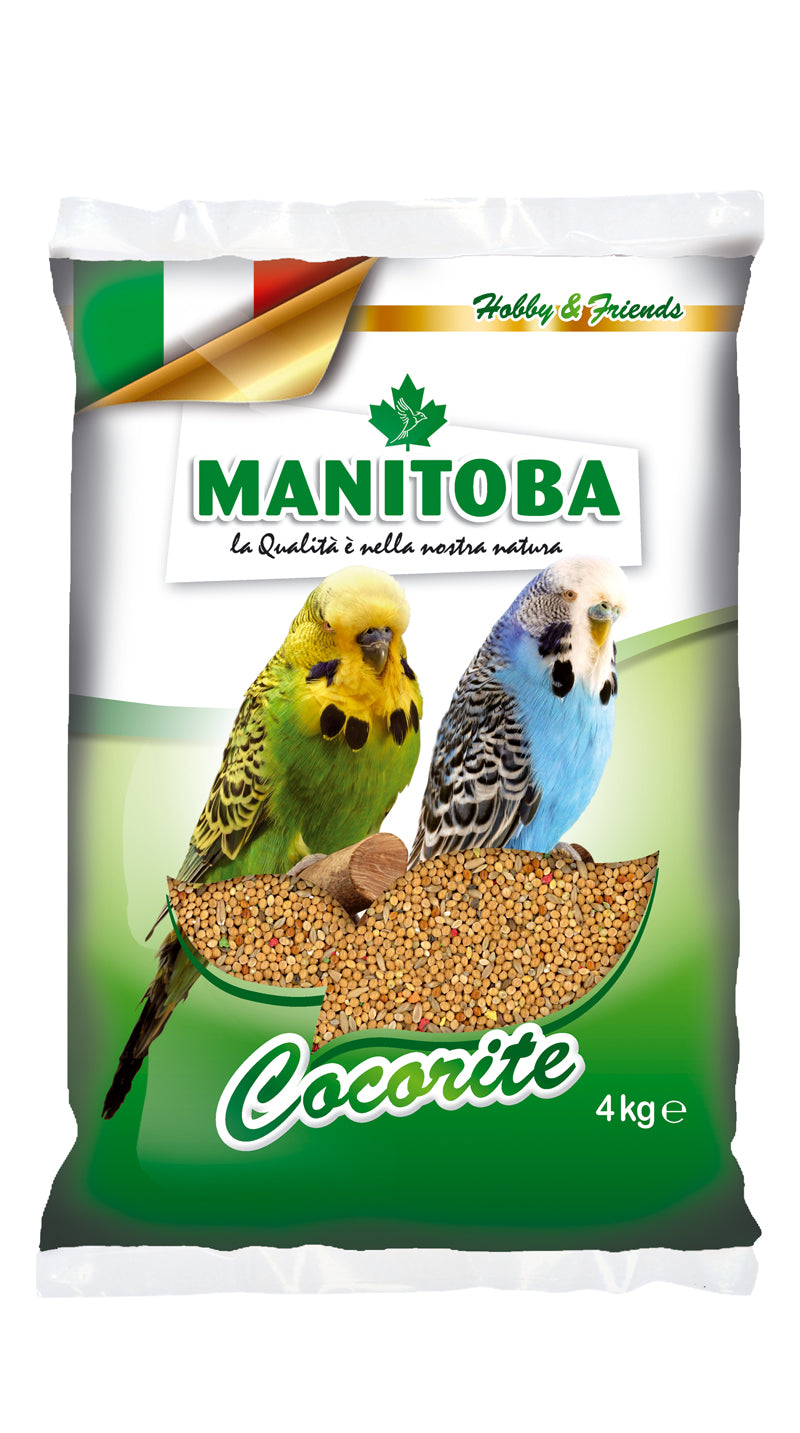 Manitoba Cocorite Biscuit - 4KG