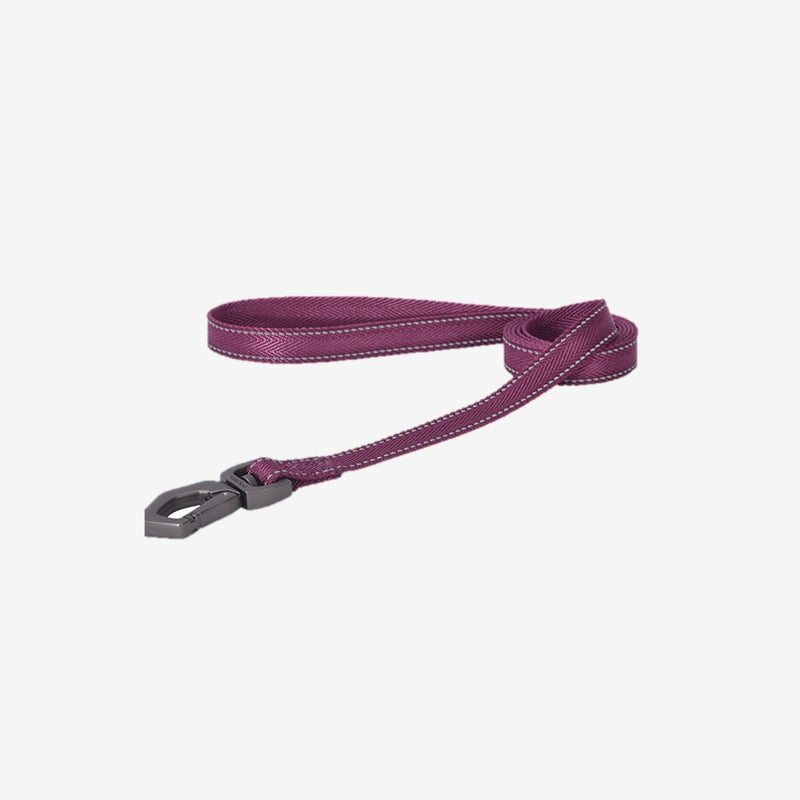 DOGNESS Herringbone Webbing Leash XS/S - PetYard