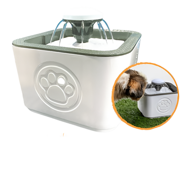 Pet Water Fountain