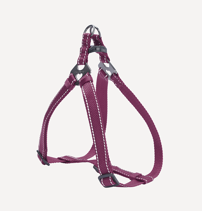 DOGNESS Herringbone Webbing Harness XL - PetYard