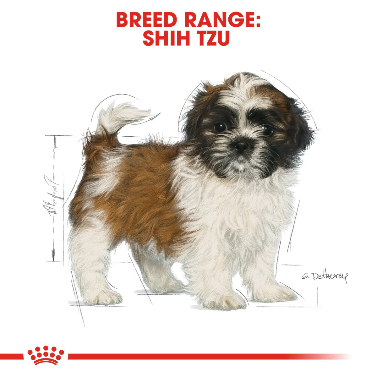 Royal Canin Shih Tzu Puppy (1.5 KG) - Dry food for puppies