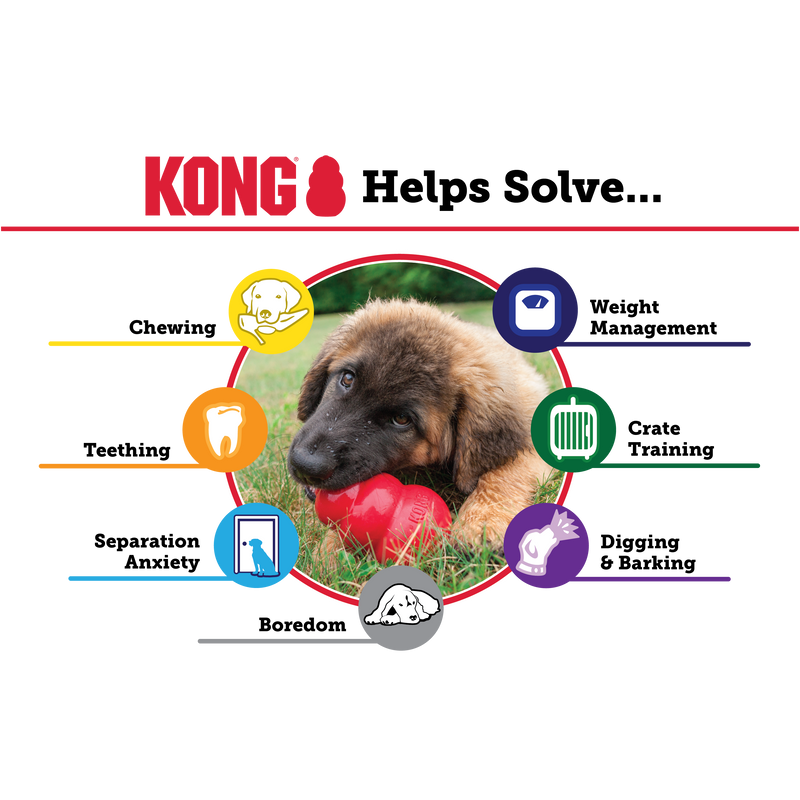 KONG PUPPY BLUE S - PetYard