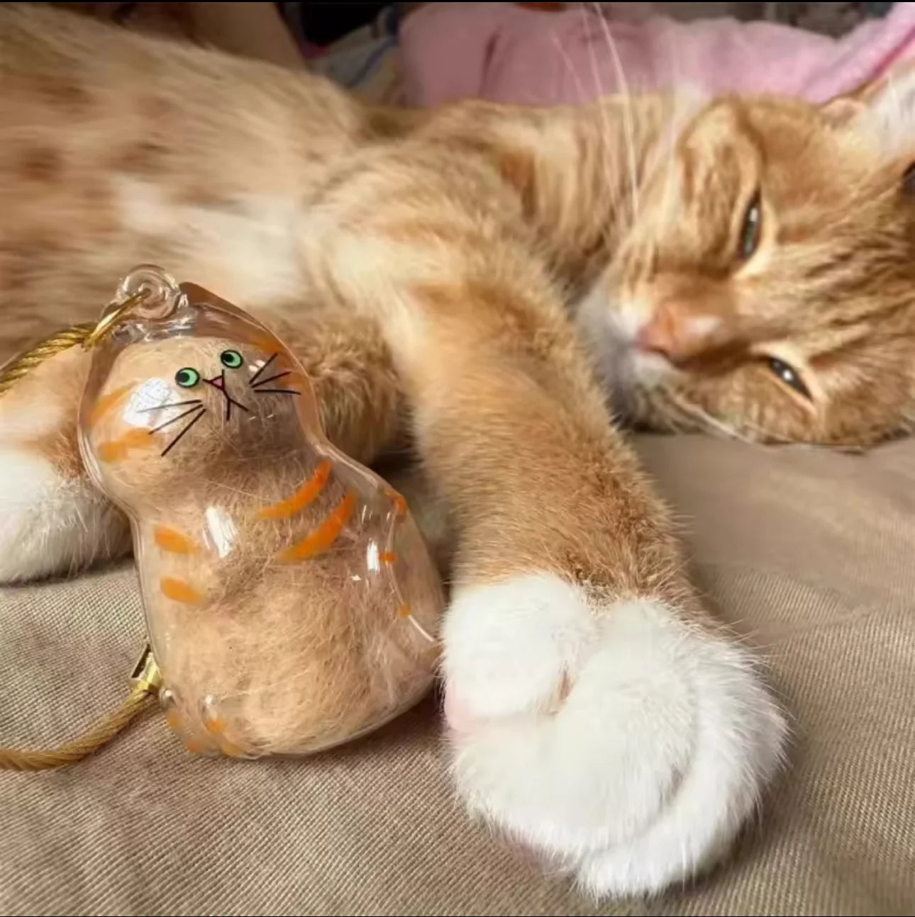 Cat Hair Memory Capsule