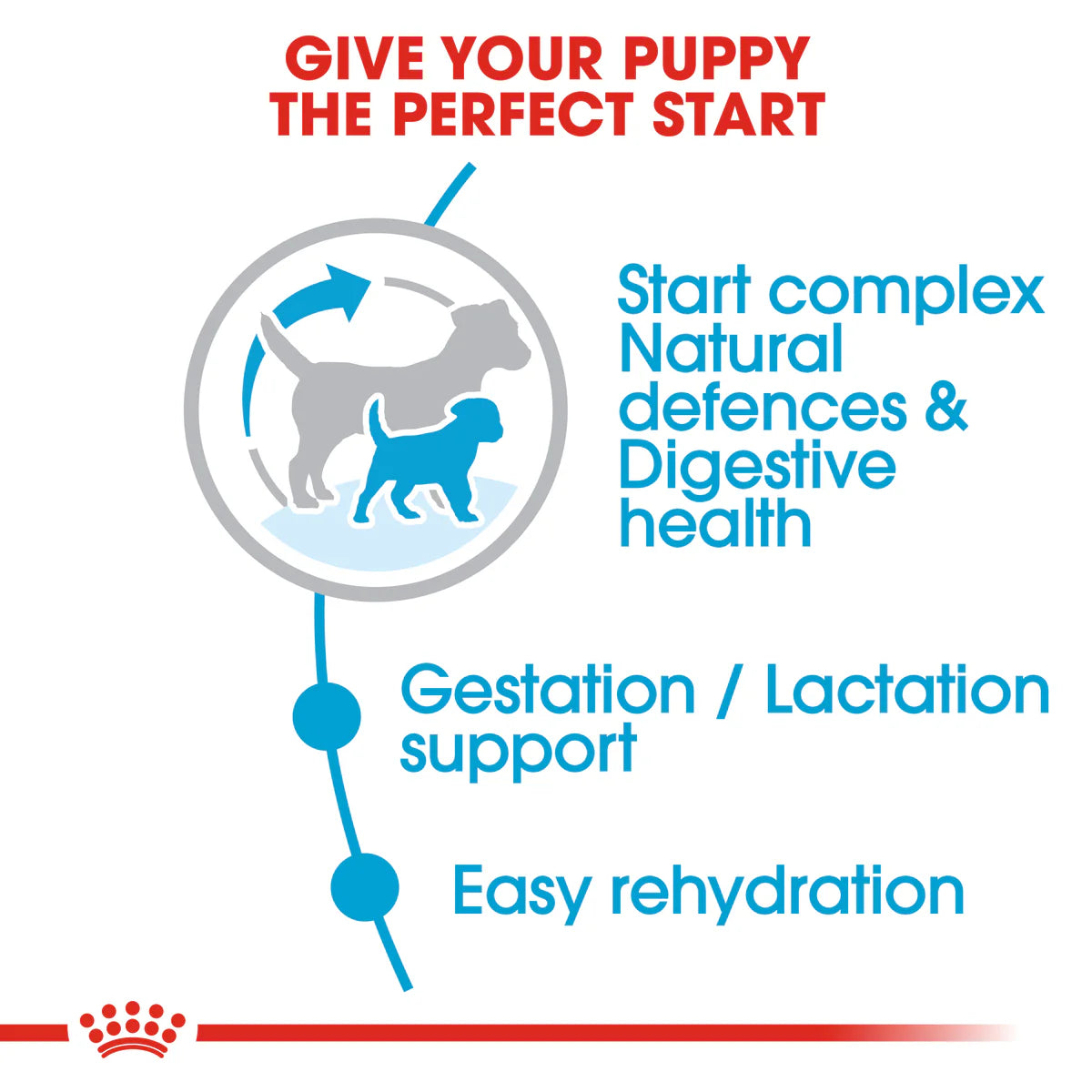 Royal Canin Mini Starter Mother & Babydog (1 KG) - Dry food for mini puppies.