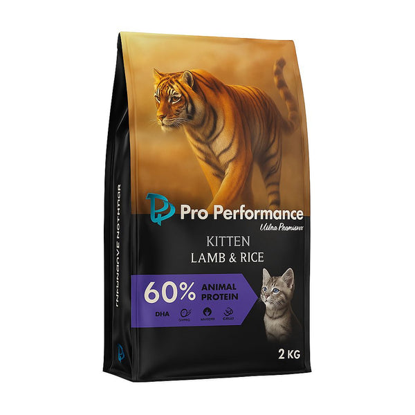 Pro Performance Food For Kittens with Lamb and Rice Flavor 2KG