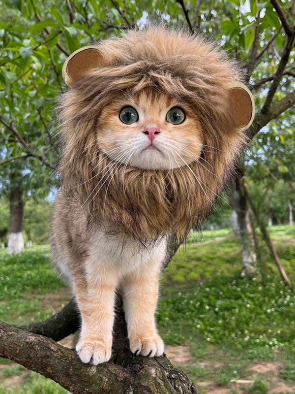 Lion Hat For Pets