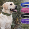 DOGNESS Teflon Collar L (2.5x44-69cm)