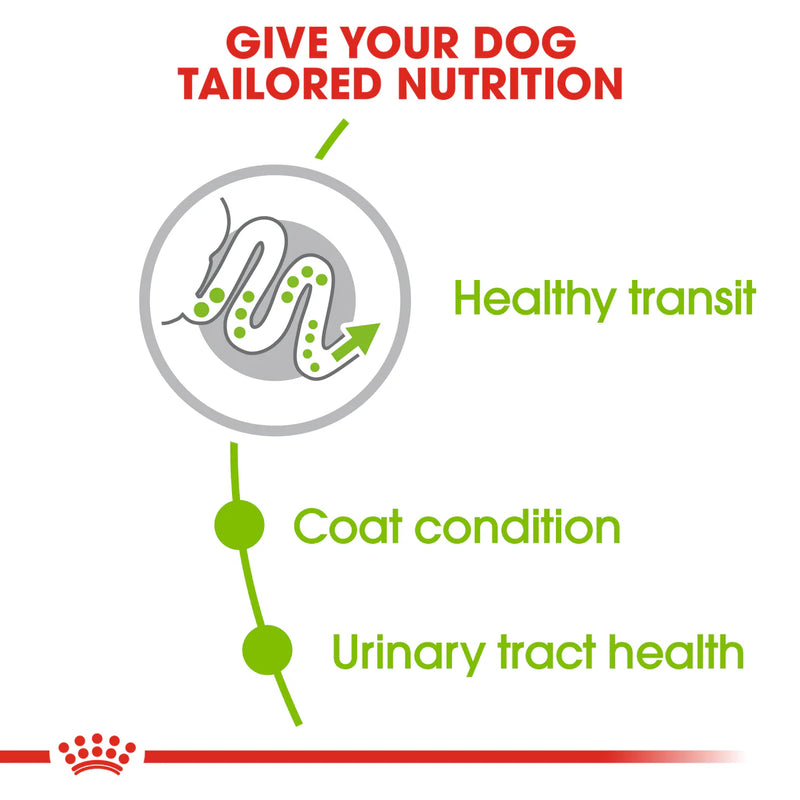 Royal Canin X-Small Adult (1.5 KG) - Dry food for very small dogs up to 4 KG. from 10 months to 8 years