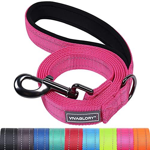 Petique Dog Leash For Small & Medium Dogs