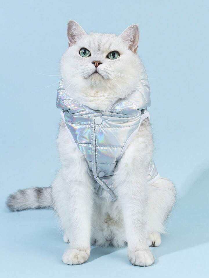 Disco Outfit For Pets All Sizes