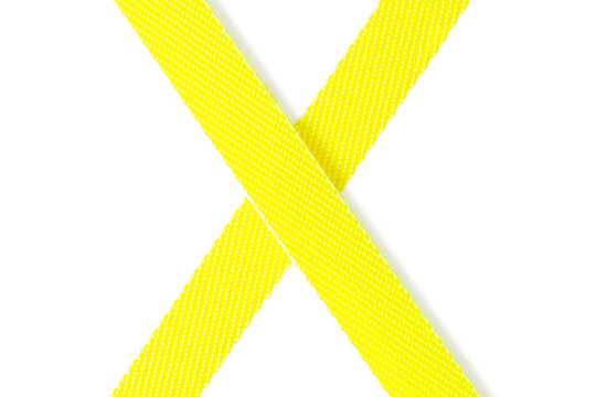 Flexi Leash Giant S/M Tape 8 m