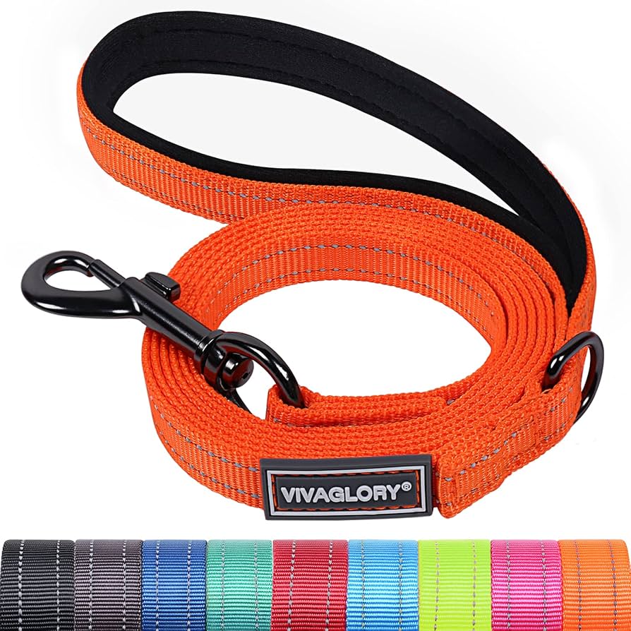 Petique Dog Leash For Small & Medium Dogs