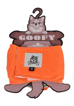 Goofy Male Diaper M - PetYard