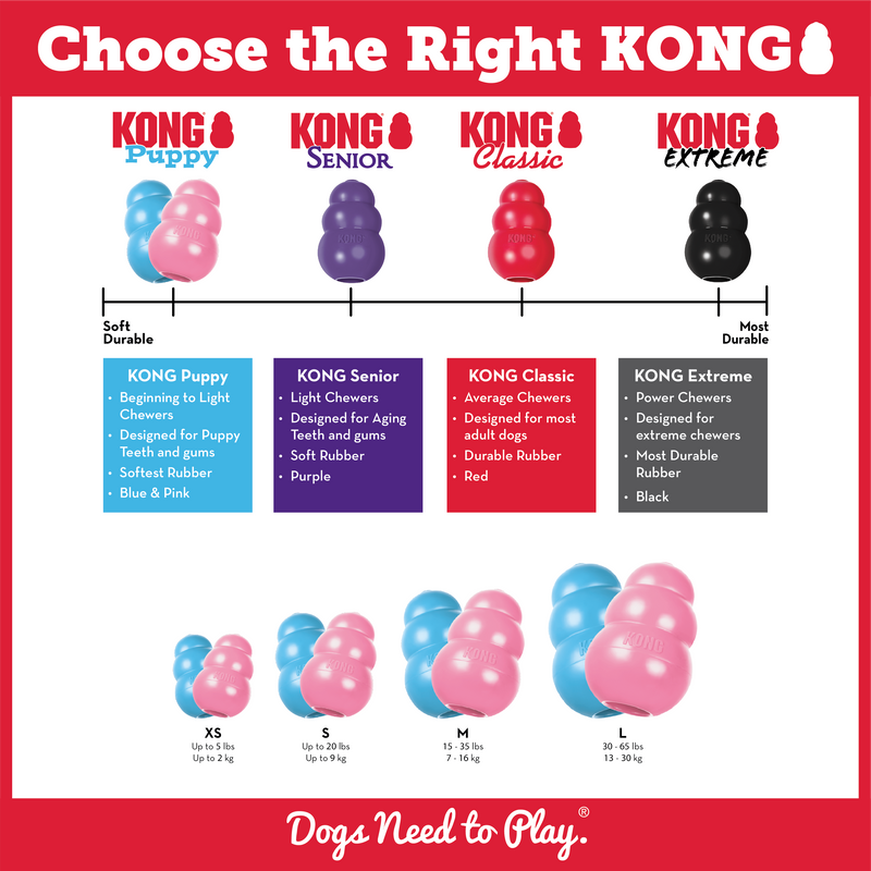 KONG PUPPY BLUE S - PetYard