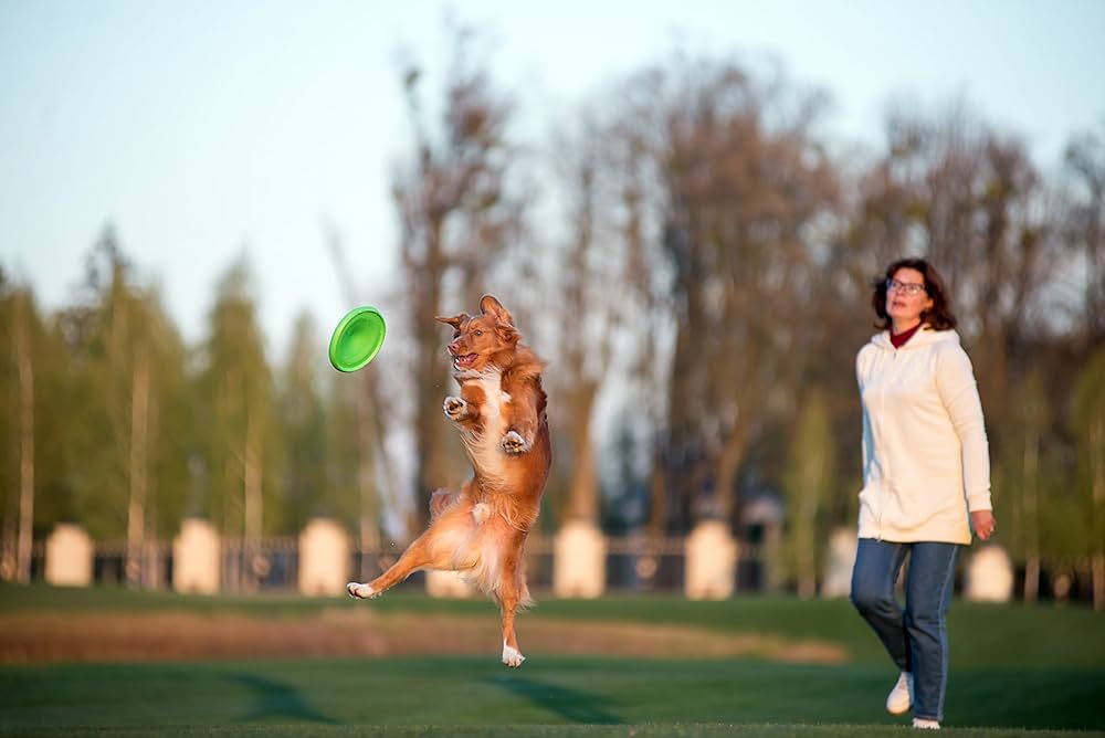 Flyer Dog Toy by Flyber - Floating Disc Toy 9-inch for Outdoors and Indoors Games.