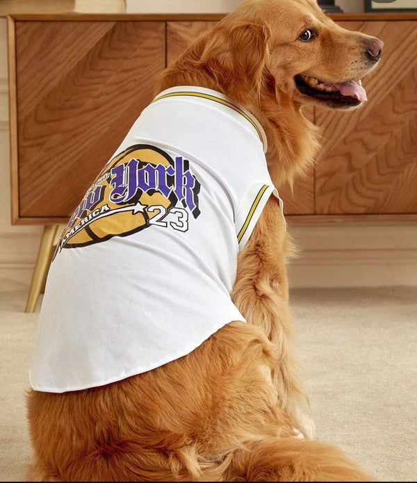 Basketball Dog Top