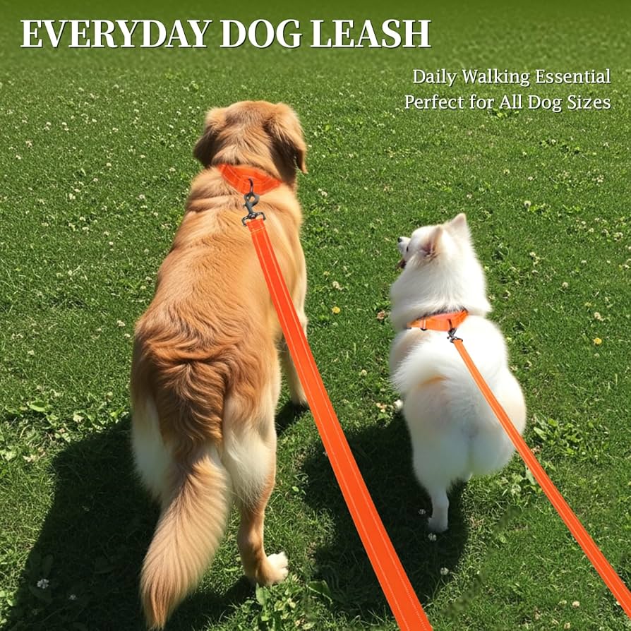 Petique Dog Leash For Small & Medium Dogs
