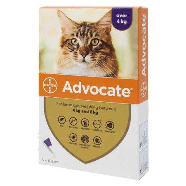 Advocate Spot On (For Cats over 4kg) - 1 Pipette - PetYard