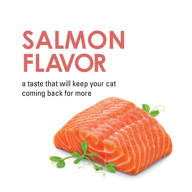 Fancy Feast Savory Cravings Salmon Flavor Cat Treats 28G