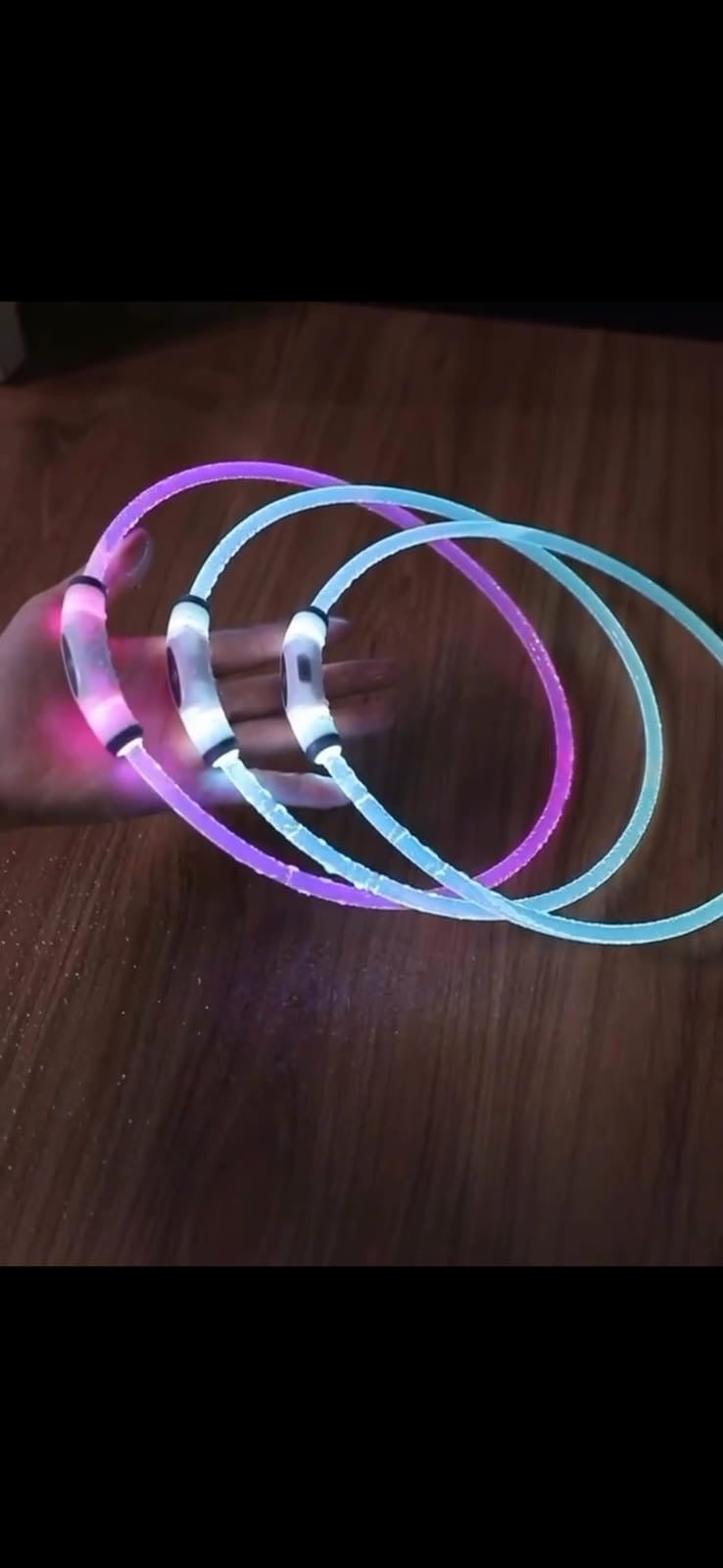 USB Rechargeable LED Luminous Dog Collar – Glow in the Dark Safety Necklace