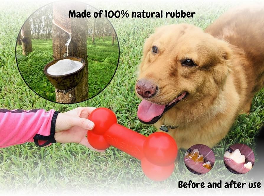 Bite Me - Goodie Bone Dog Chew Toy