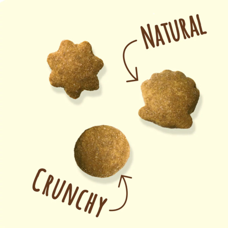 Friskies Party Mix Cat Treats Naturals Gourmet Crunch with Real Chicken 170 g