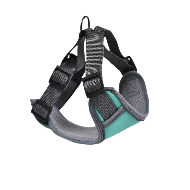 Naomi Dog Harness