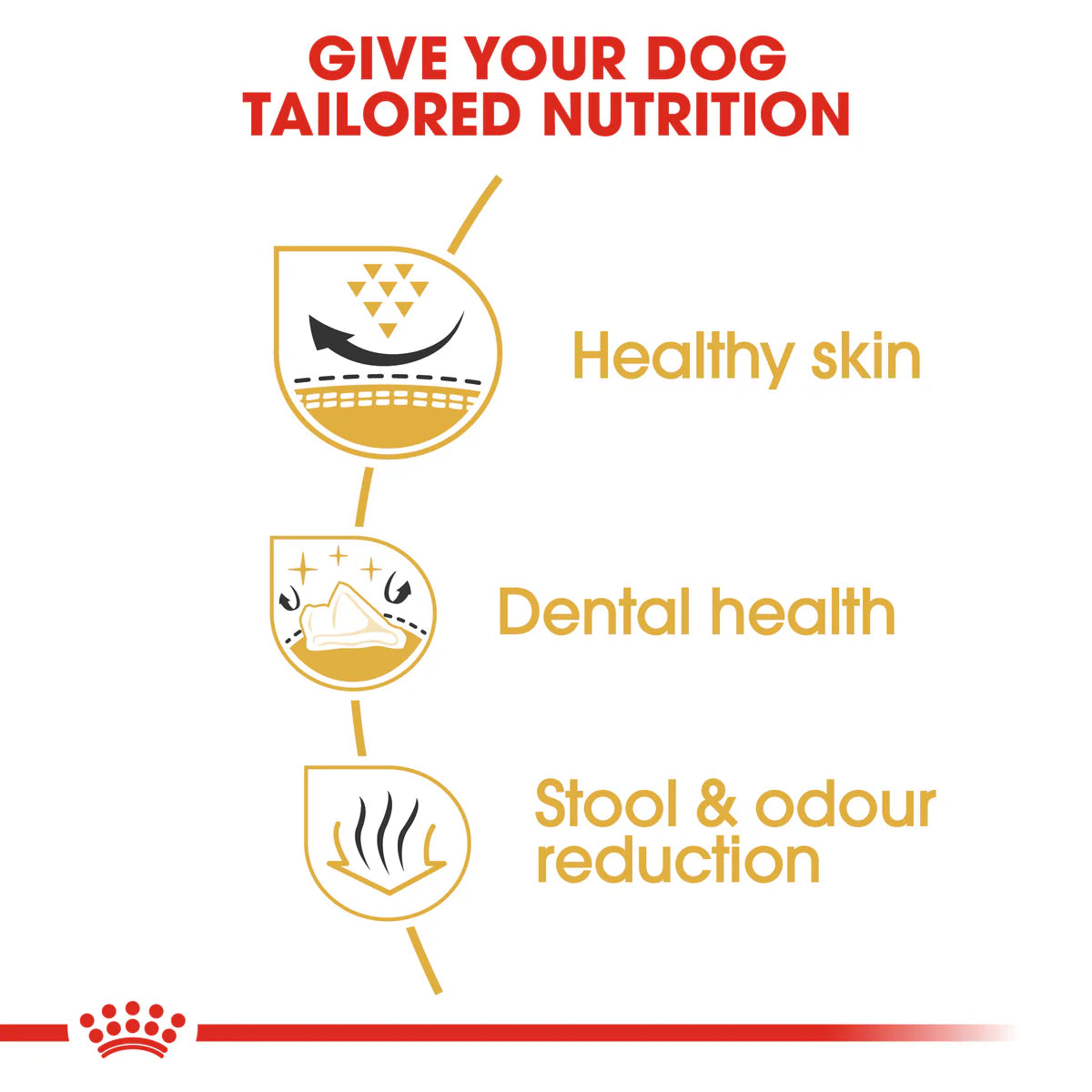 Royal Canin Shih Tzu Adult (1.5 KG) – Dry food for adult dogs