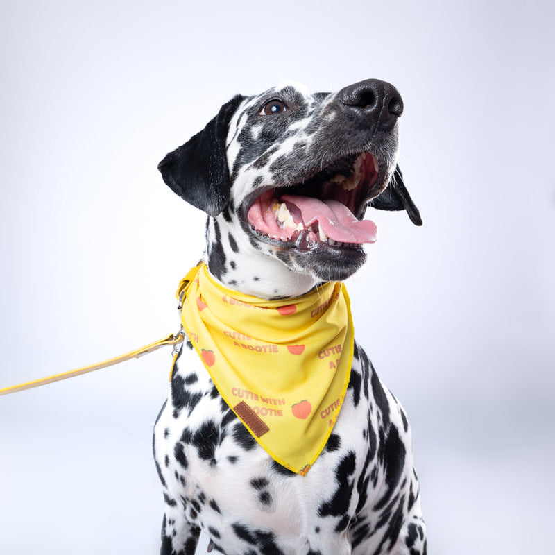 Cutie With A Bootie - Bandana