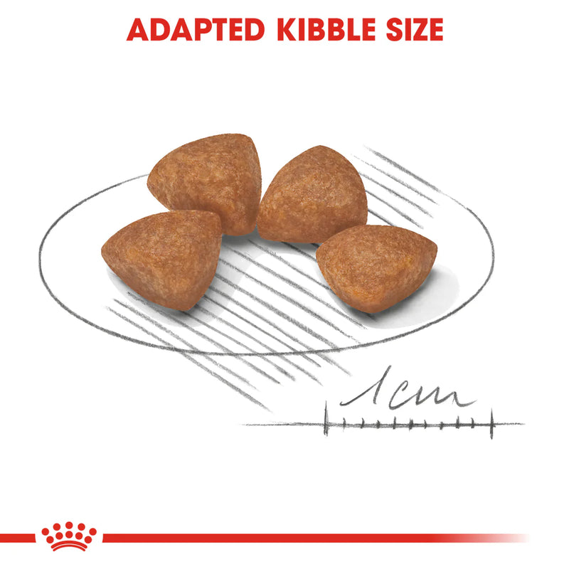 Royal Canin X-Small Puppy (1.5 KG) - Dry food for very small dogs - Adult weight up to 4 KG