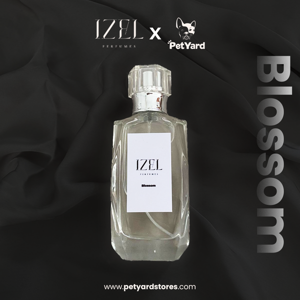 ‏⁠IZEL perfume scent BLOSSOM  inspired by Gucci flora for woman 50ml