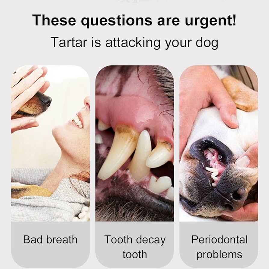 Pet Dental Care Kit – Toothpaste & Toothbrush Set for Dogs & Cats (70g)