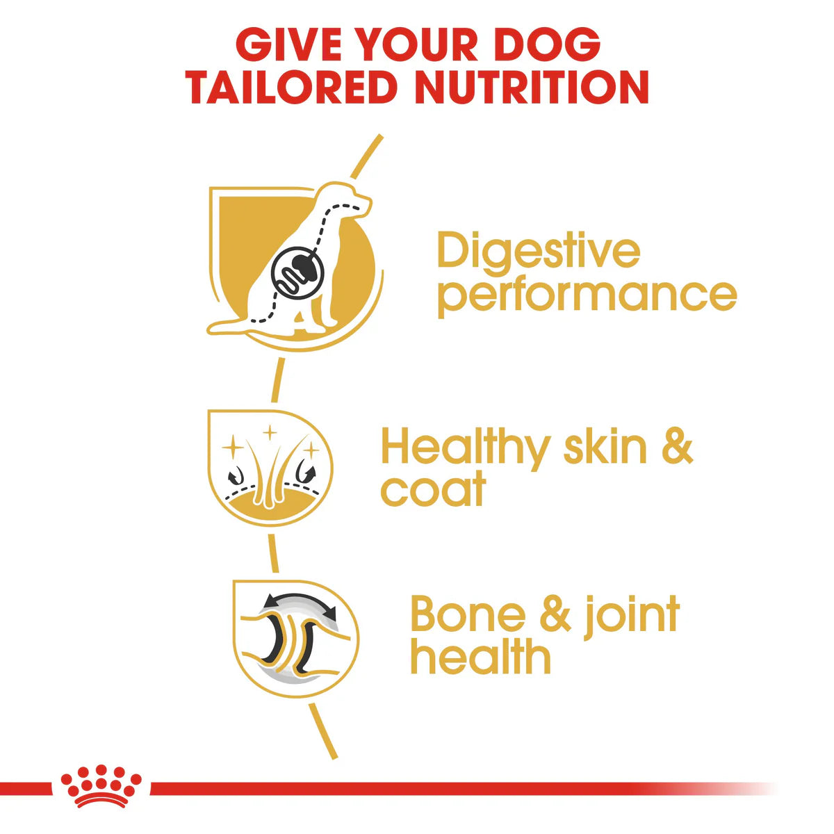 Royal Canin German Shepherd Adult - Dry food for adult