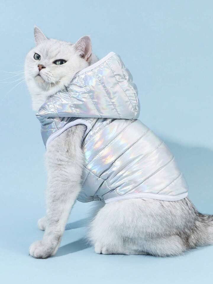 Disco Outfit For Pets All Sizes