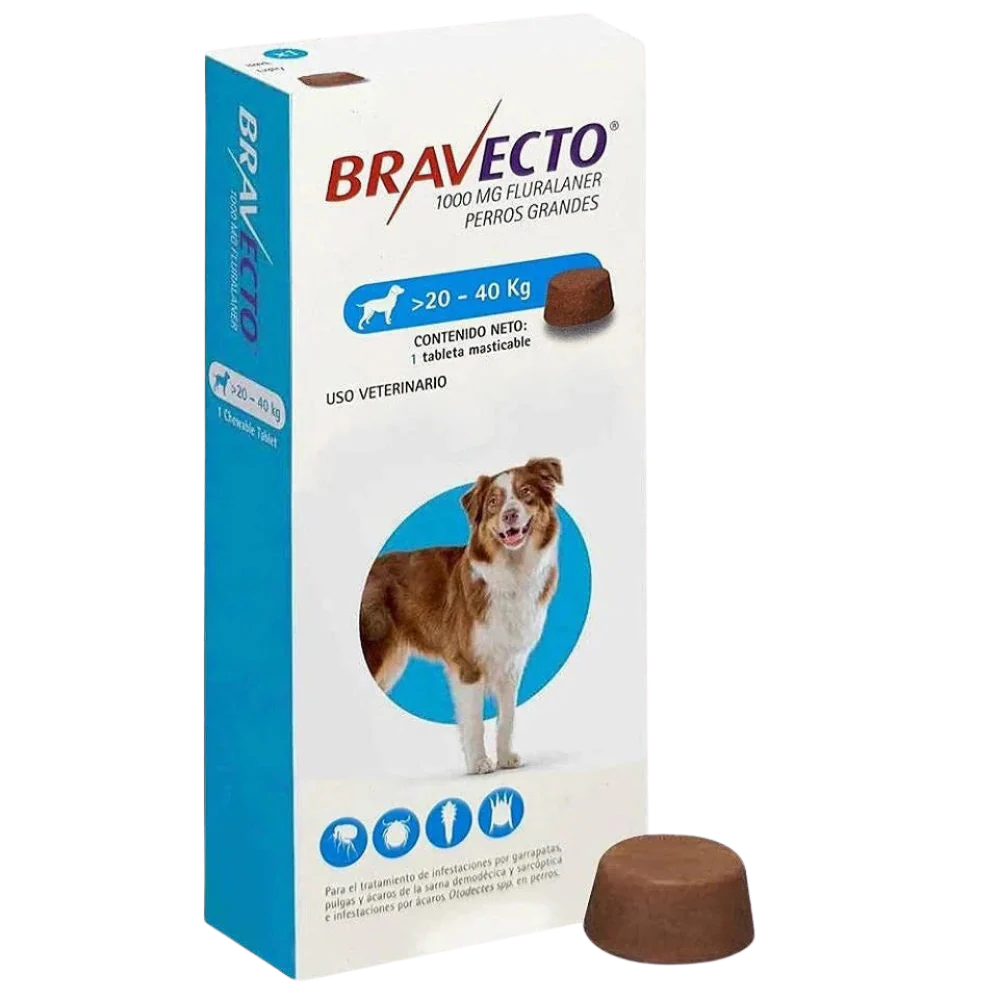 Bravecto MSD 20-40Kg Adult Dog Flea & Tick Treatment - 1 Tablet
