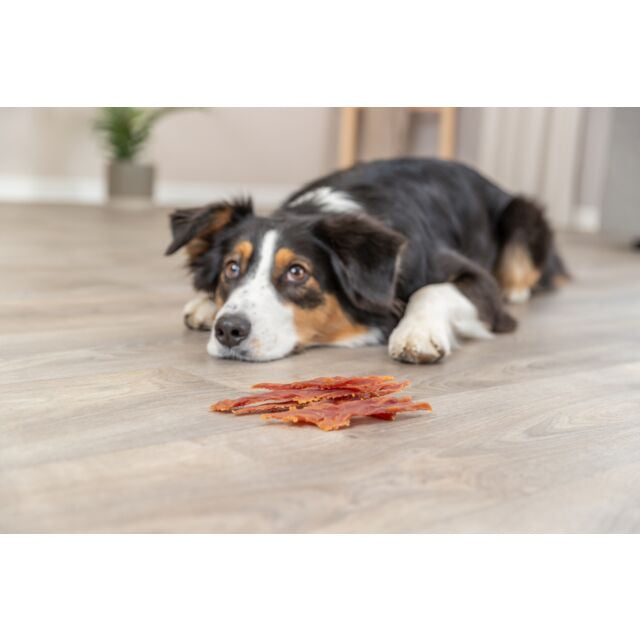 Trixie Premio Ducky Stripes Dog Treats - 100G