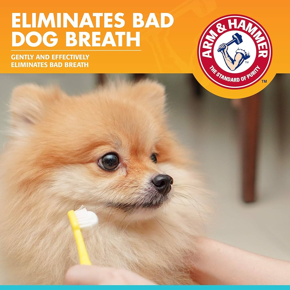 Arm & Hammer Dental Enzymatic Toothpaste for Dogs | Soothes Inflamed Gums with Vanilla Ginger