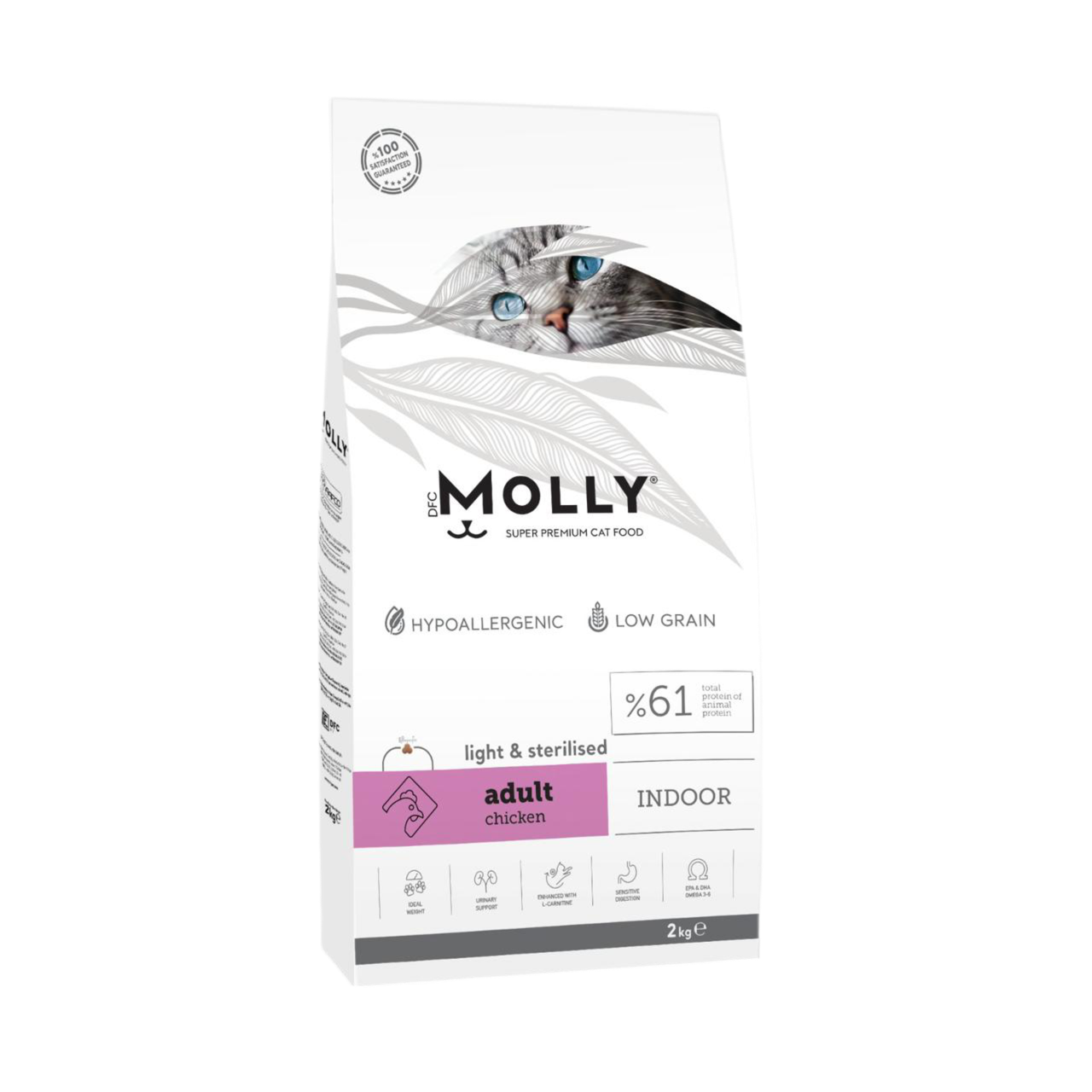 Molly Indoor light & sterilised