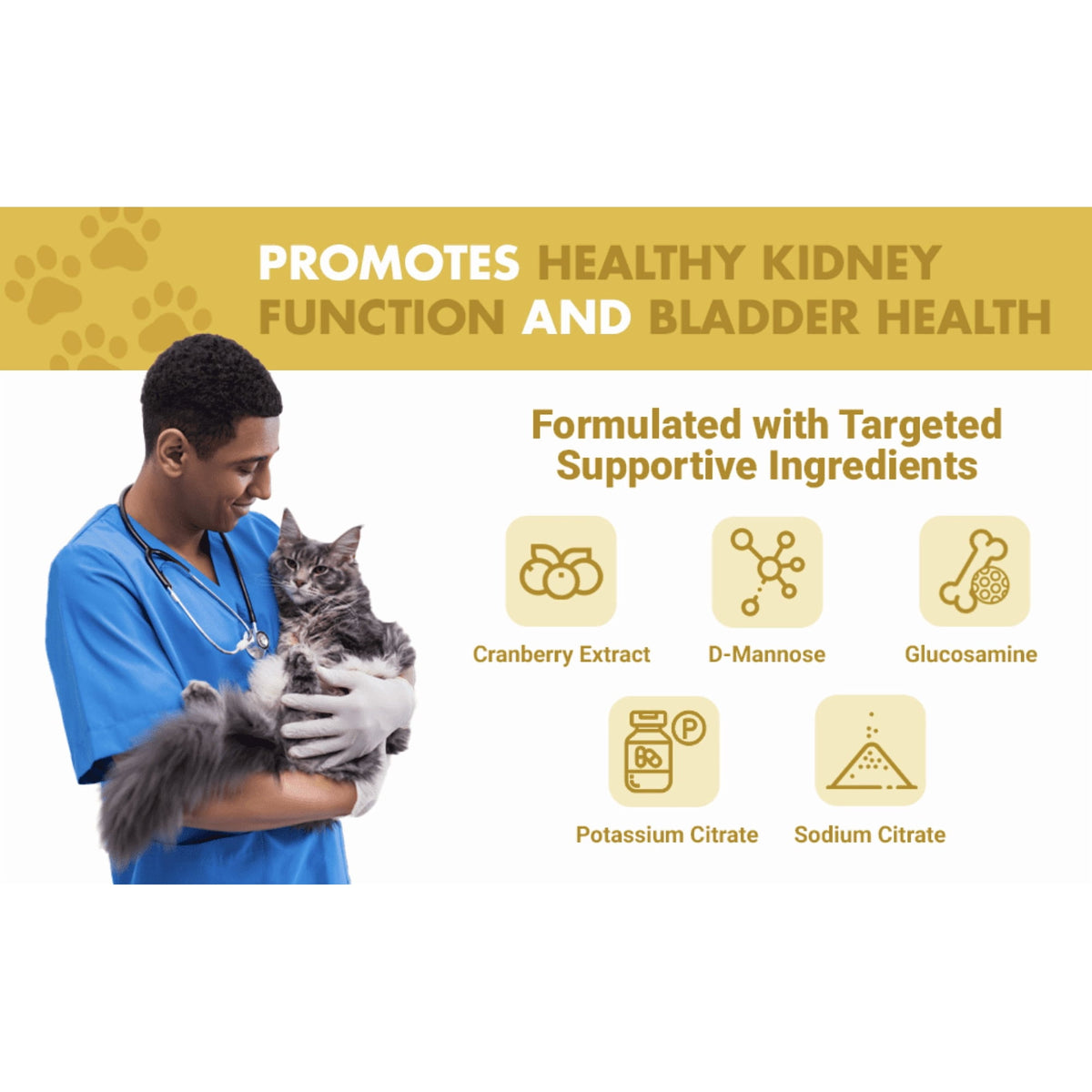 Liquid-Vet Kidney & Bladder Wellness Max Cranberry Cat Supplement (Seafood Gravy Flavor)