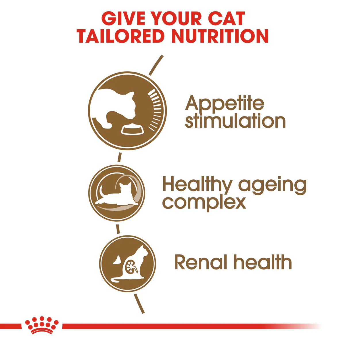 Royal Canin Ageing +12 (2KG) for Senior cats over 12 years old