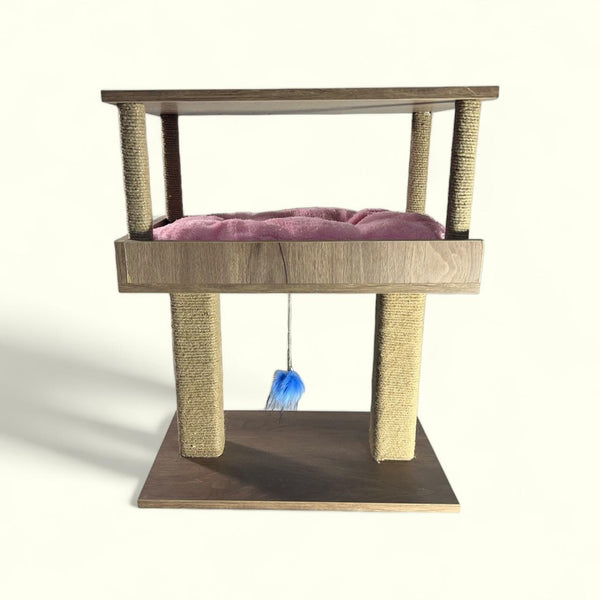 Cat Moda Scratcher with Bed