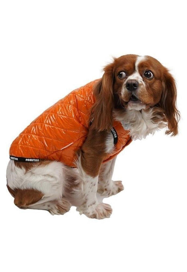 Pawstar Claret Orange Moncler Vest (SML/XL/2XL) - PetYard